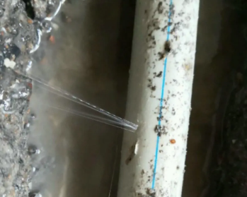 长寿卫生间测漏水多少钱